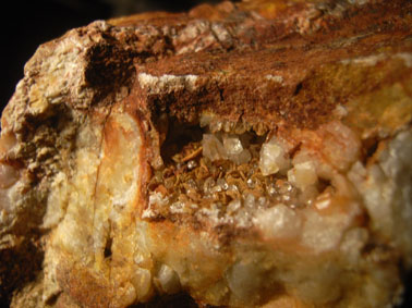 20081031b.jpg