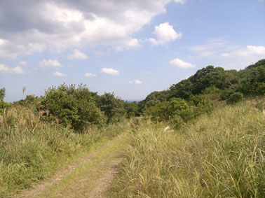 20081031d.jpg